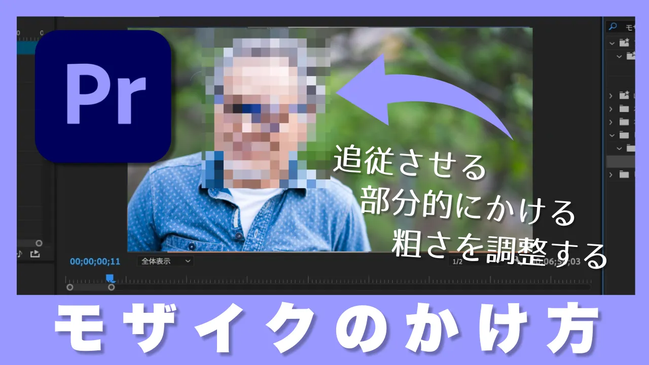 Premiere Proでモザイクをかける方法！自動追従や一部にかけるやり方、粗さの調整も解説